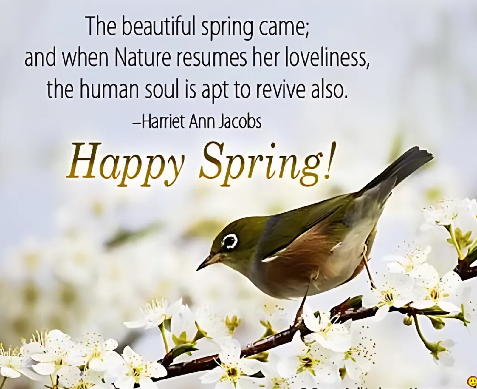 Blog Cover Image 3 (75)