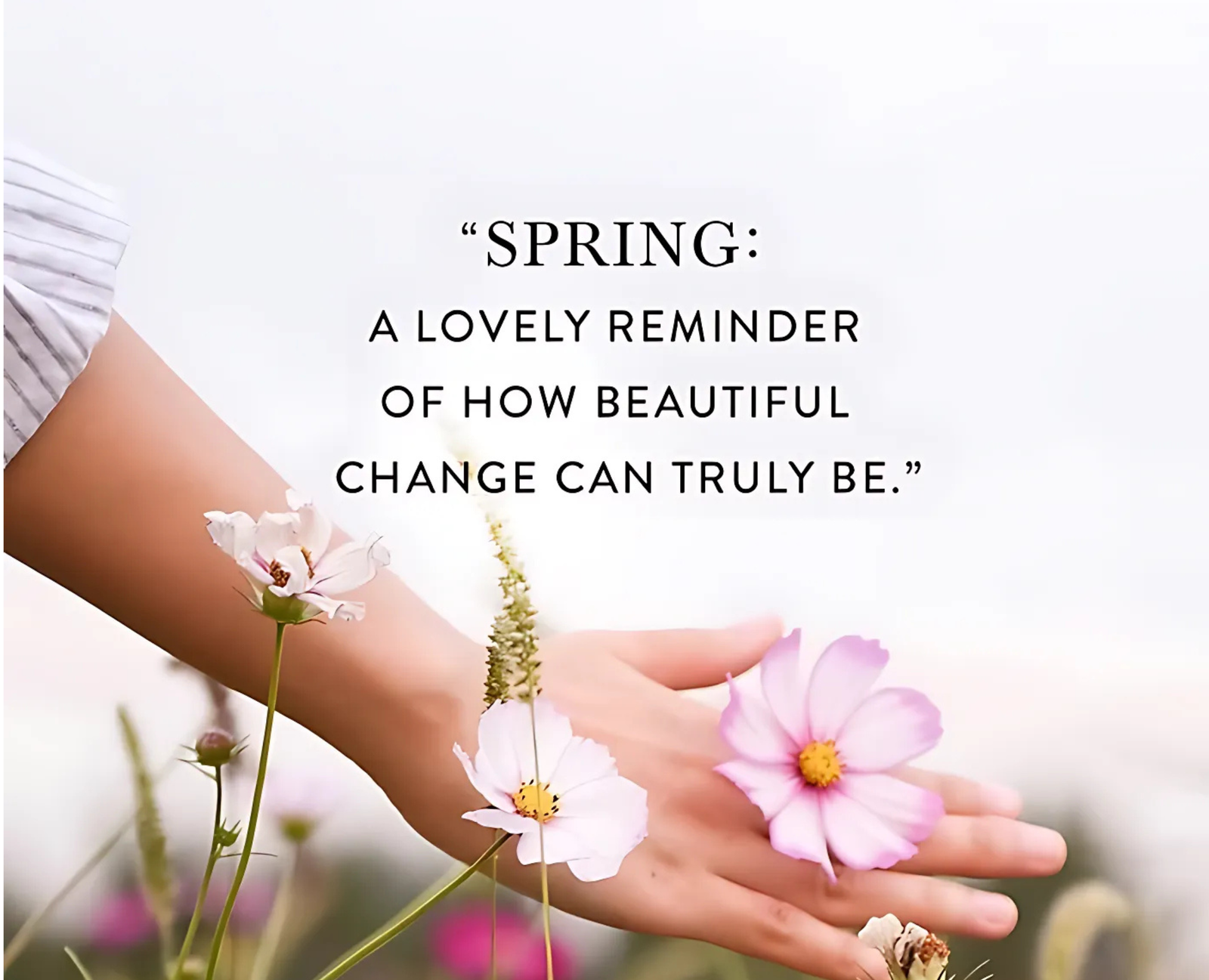 Blog Cover Image 3 (76)